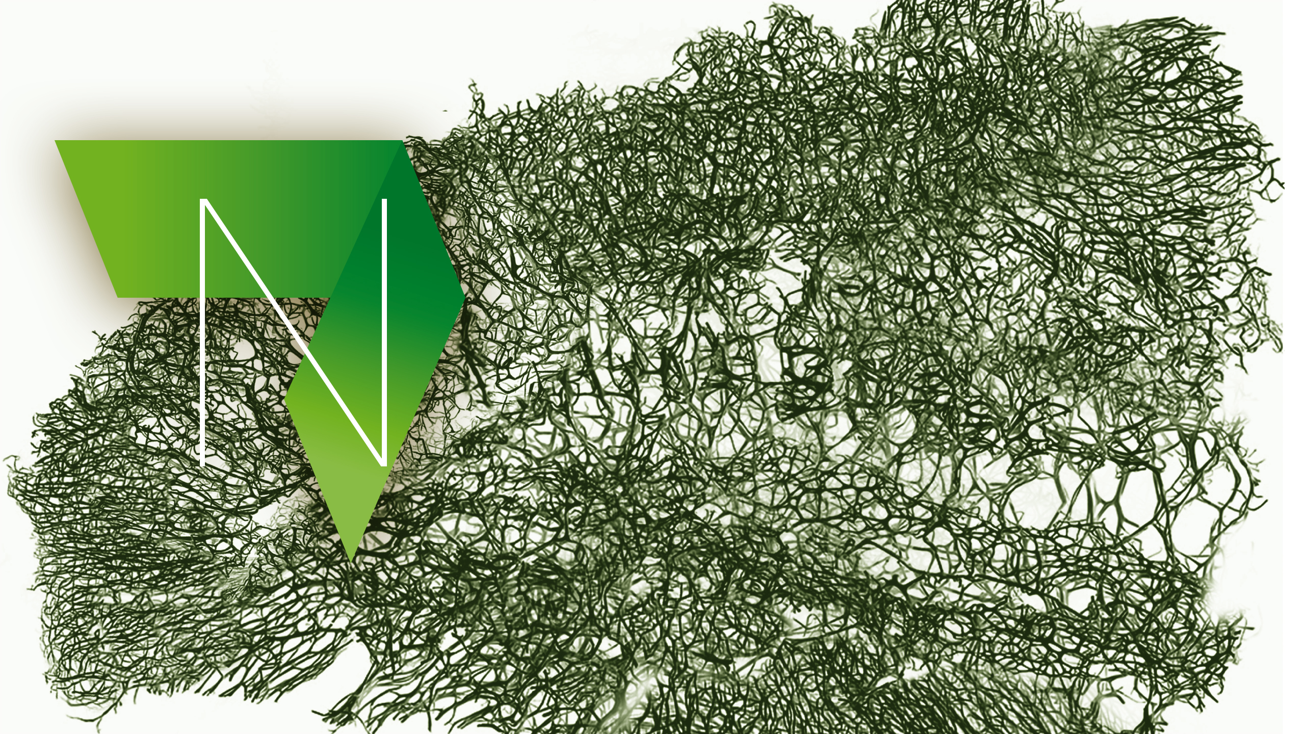 Neuroscience Reconstructed: Cell Biology Neuro_CellBiology