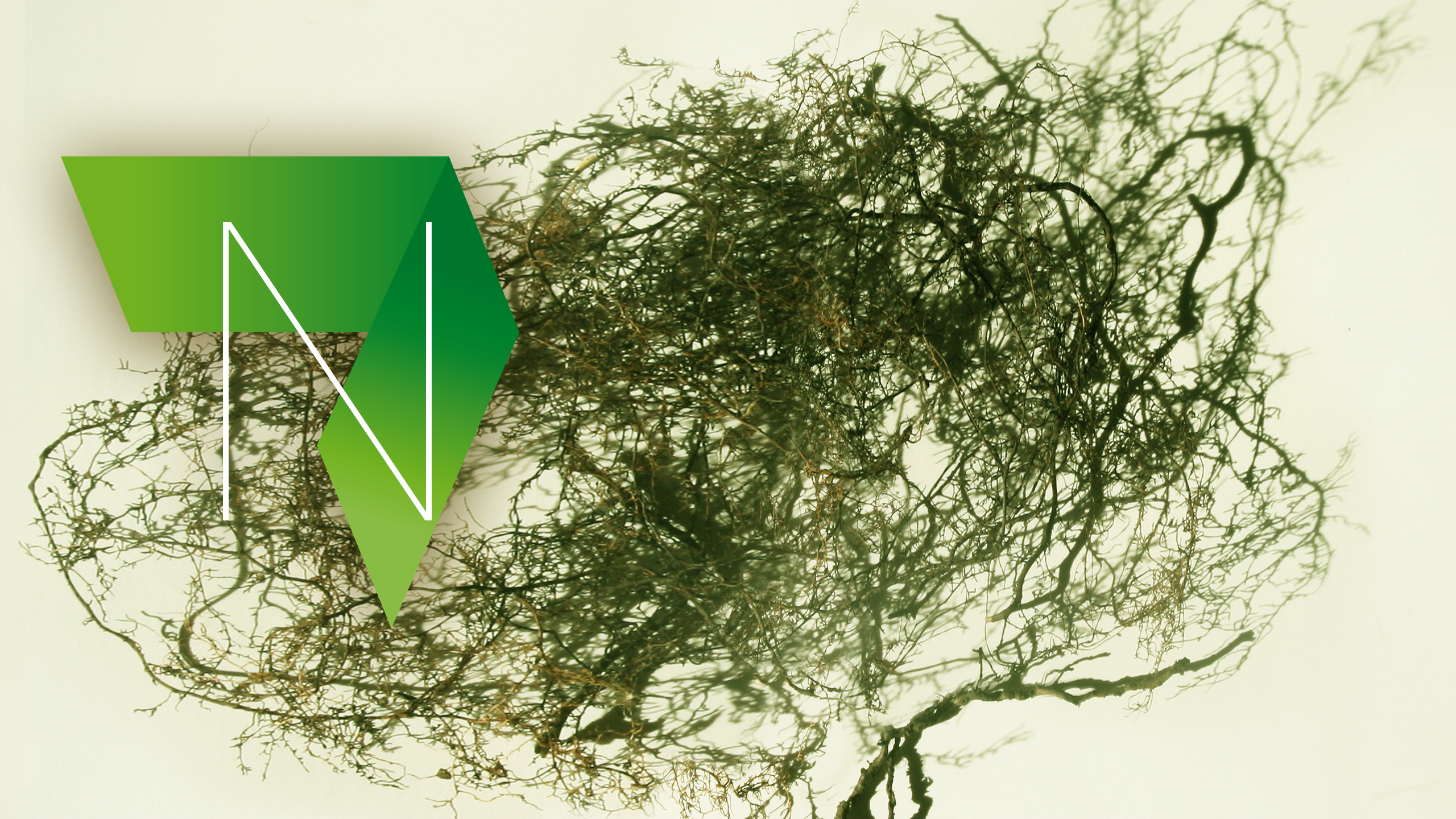 Neuroscience Reconstructed: Proteomics Neuro_Proteomics